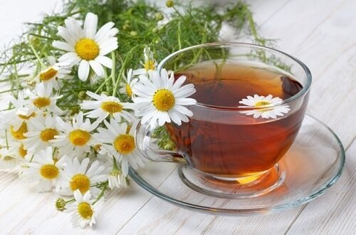 Infusão de camomila para aliviar olhos cansados