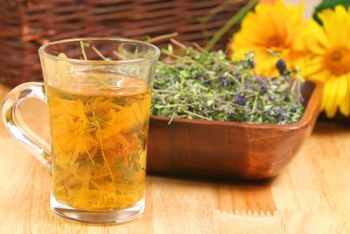 4 infusões para purificar o corpo