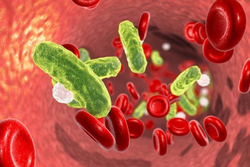 Na infecção neonatal há bactérias