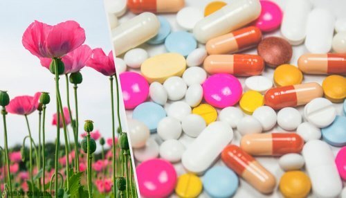Planta e medicamentos à base de óxido