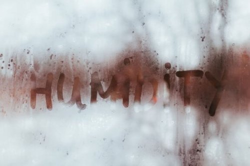 Como reconhecer um problema de umidade em casa