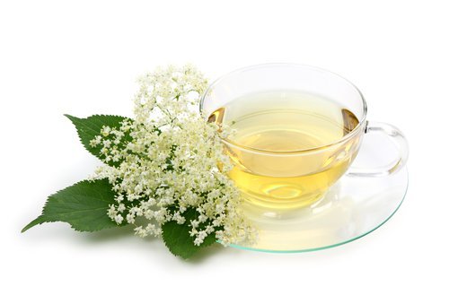 Infusão de sabugueiro para purificar o corpo