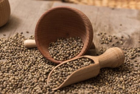 Valor nutricional do leite de cânhamo