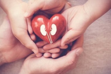 Alimentos que ajudam a melhorar a função renal
