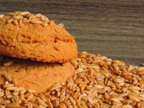 Biscoitos de aveia e iogurte sem açúcar. Experimente!