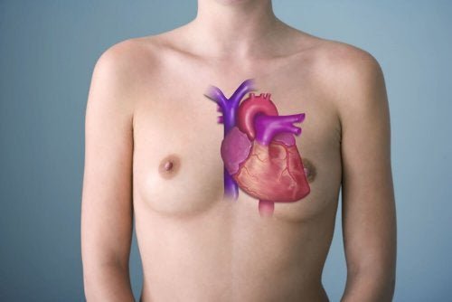 Tronco arterioso: saiba tudo sobre essa doença.