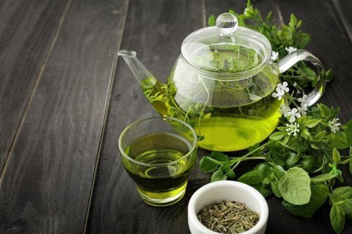 Chá verde é um dos remédios para a circulação