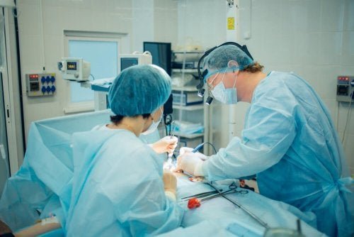 A cirurgia é a forma usual de tratamento, a fim de resolver a torção e fixar o cordão.