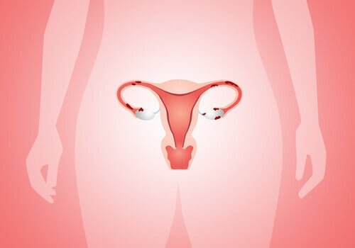Como colocar o preservativo feminino