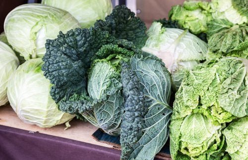 Couve Kale