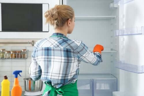 Limpeza e desinfecção ecológicas da geladeira