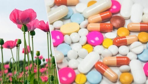 Uso dos opioides