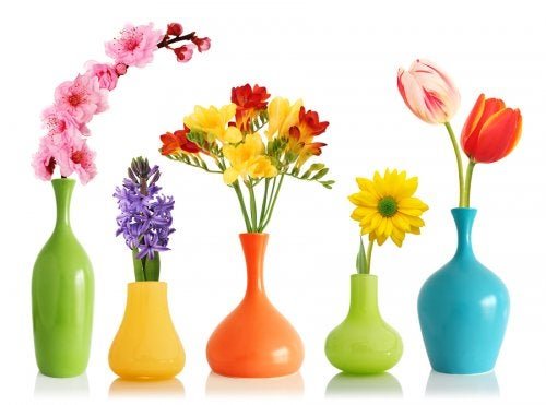 Renove seus vasos com cores diferentes.