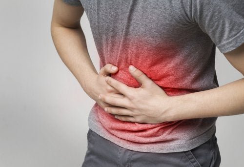 Como aliviar a indigestão naturalmente com plantas medicinais