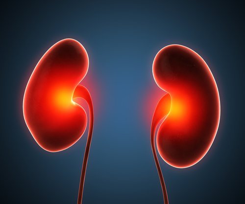 Abscesso renal: conheça alguns tratamentos