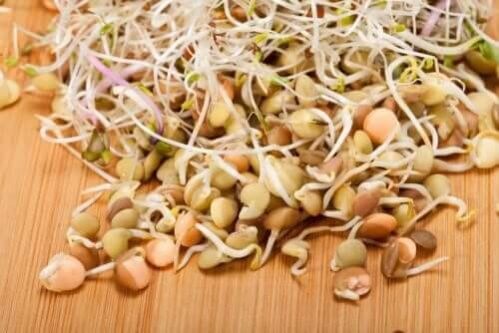 3 receitas saudáveis com brotos de lentilha