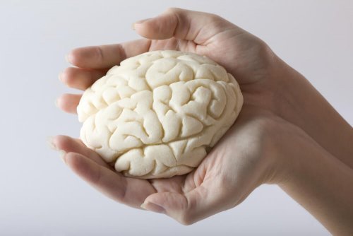 Áreas do cérebro afetadas pela depressão