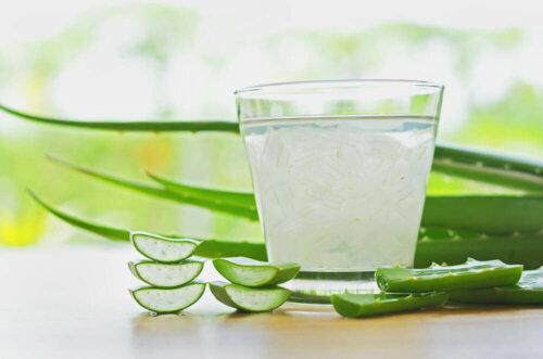 Folha de aloe vera