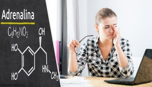 Epinefrina pode causar cansaço