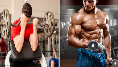Curl para definir seus músculos rapidamente