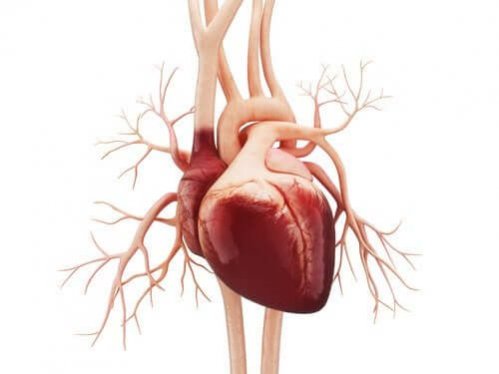 Flutter atrial, quais são seus sintomas e causas?