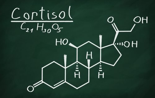 Fórmula química do cortisol