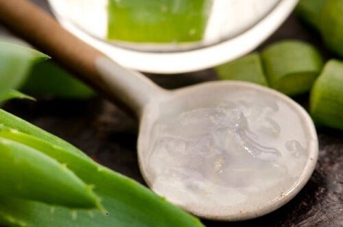 Aloe vera para estrias
