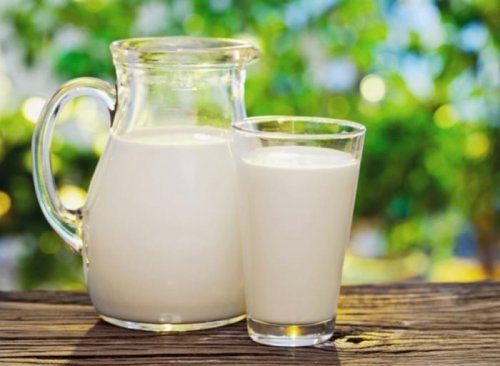 Éimportante substituir o leite de vaca por leite vegetal