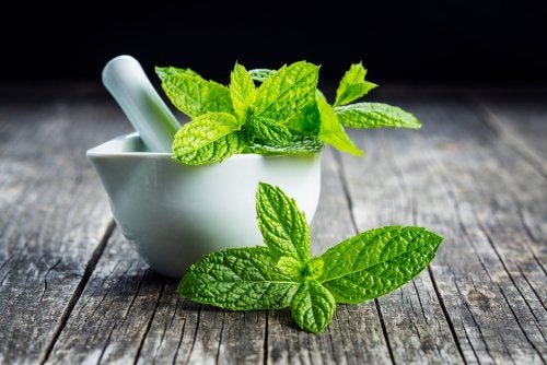 Vaporização com menta para aliviar os sintomas do resfriado