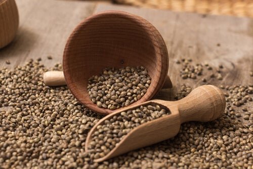 Shake proteico com sementes de cânhamo