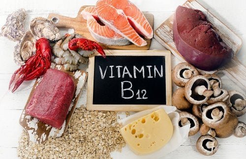 Alimentos com vitamina B12