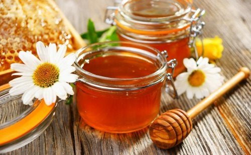 6 adoçantes naturais para substituir o açúcar refinado