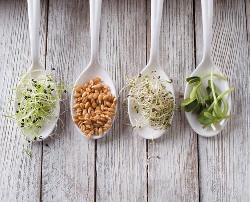 Respeitar o gosto dos outros