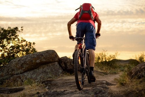 Conheça os benefícios de praticar mountain bike