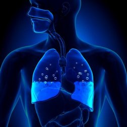 Edema pulmonar, quais os sintomas e causas?