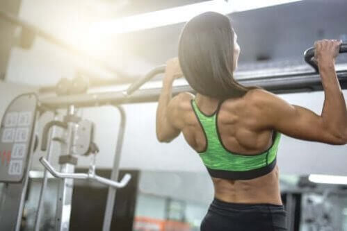 Exercícios para ganhar músculo e força