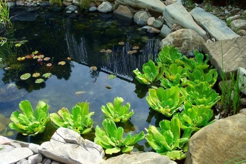 3 maneiras diferentes de ter um lago artificial em casa