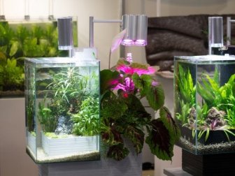 Como fazer suas próprias lâmpadas para terrário em casa