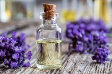 5 usos incomuns do extrato de lavanda