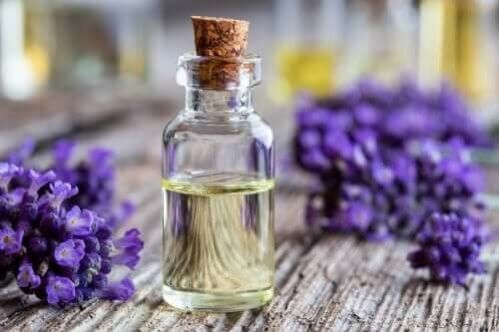 Como fazer e usar o óleo de lavanda? - Melhor Com Saúde
