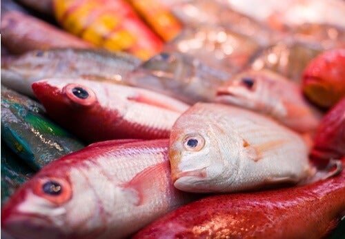 Peixe fresco para receitas