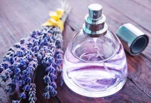 Perfume de extrato de lavanda
