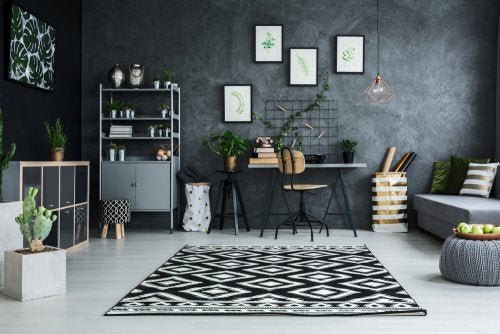 5 plantas para espaços com pouca luz