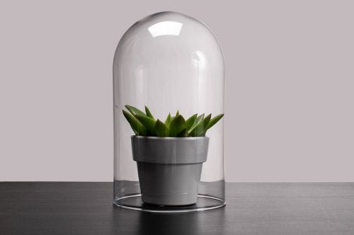 Lâmpadas para terrário