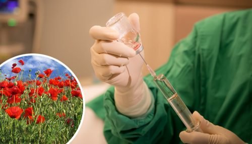 Tramadol injetável