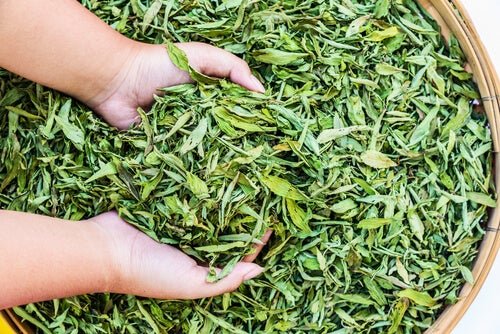 Preparar geleia com estévia para perder peso