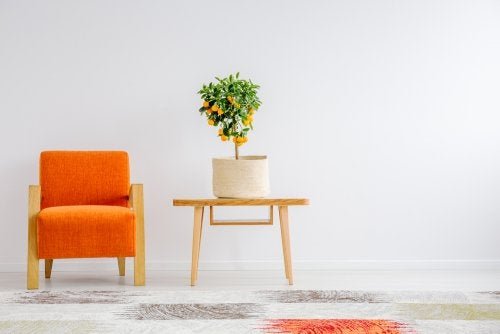 Como fazer arranjos de flores minimalistas