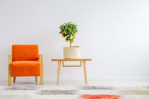 Como fazer arranjos de flores minimalistas