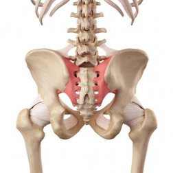 Hipermobilidade da articulação sacroilíaca