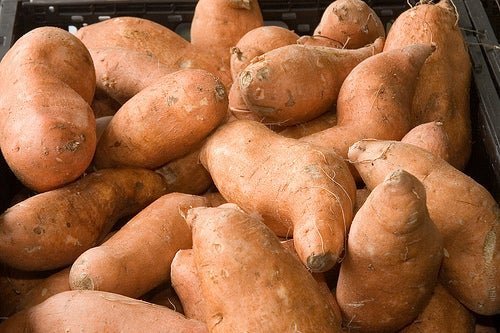 Batata doce